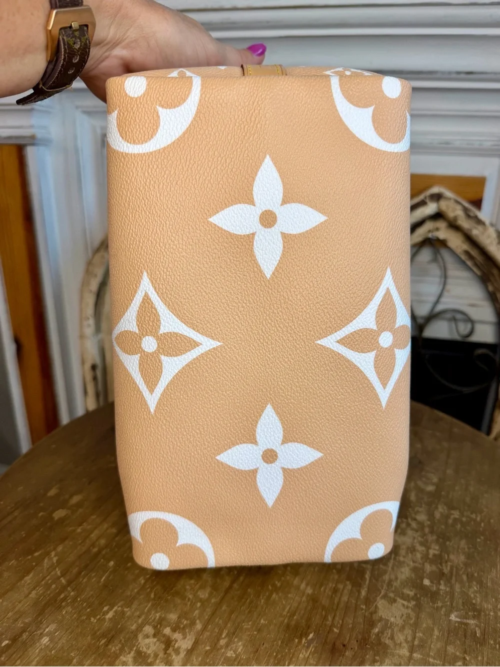 Louis Vuitton Speedy 25 By the Pool in Mist Speedy Bandoulière